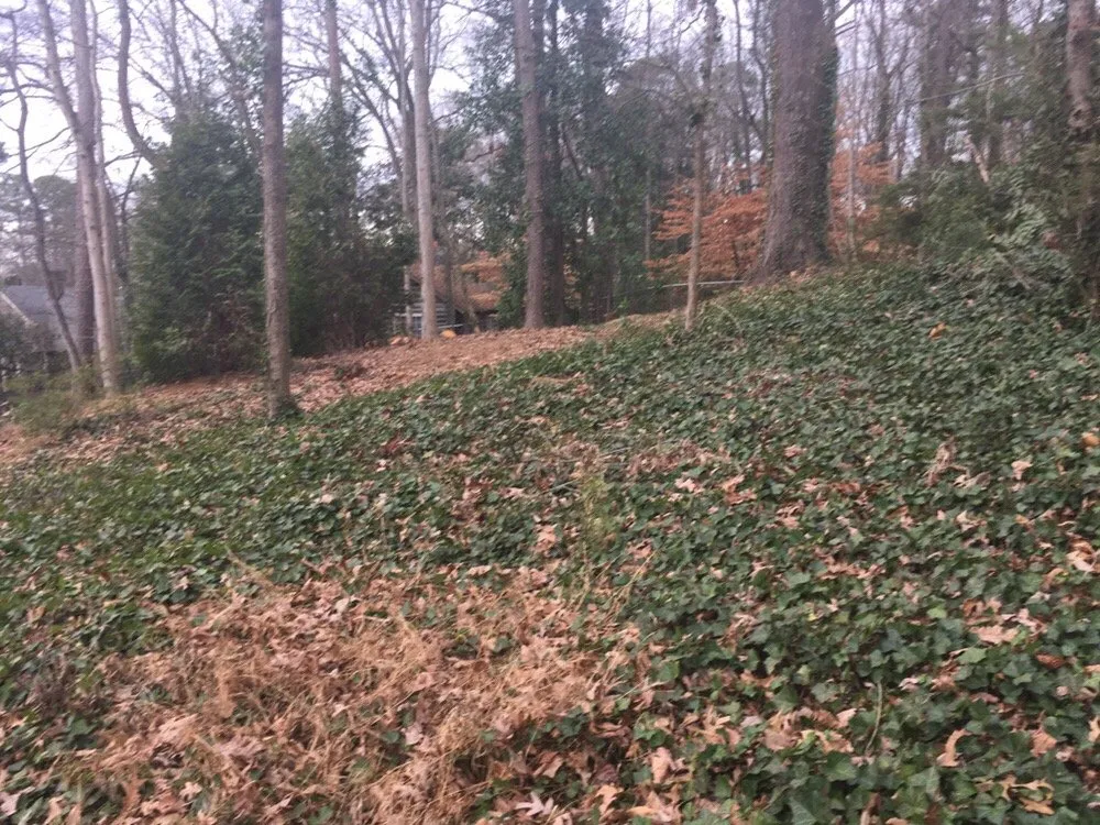 Local landscape installation experts serving Atlanta, GA - Vida Landscape