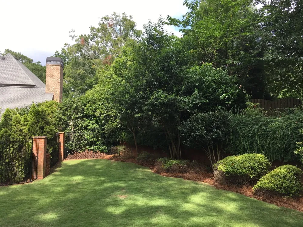 Custom lawn care service for outdoor upgrades in Atlanta, GA by Vida Landscape
