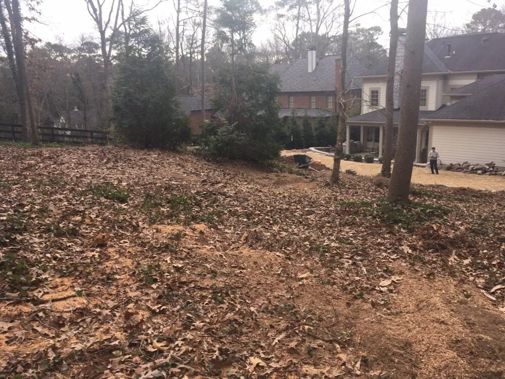 Professional yard cleanup service with custom design across Atlanta, GA - Vida Landscape