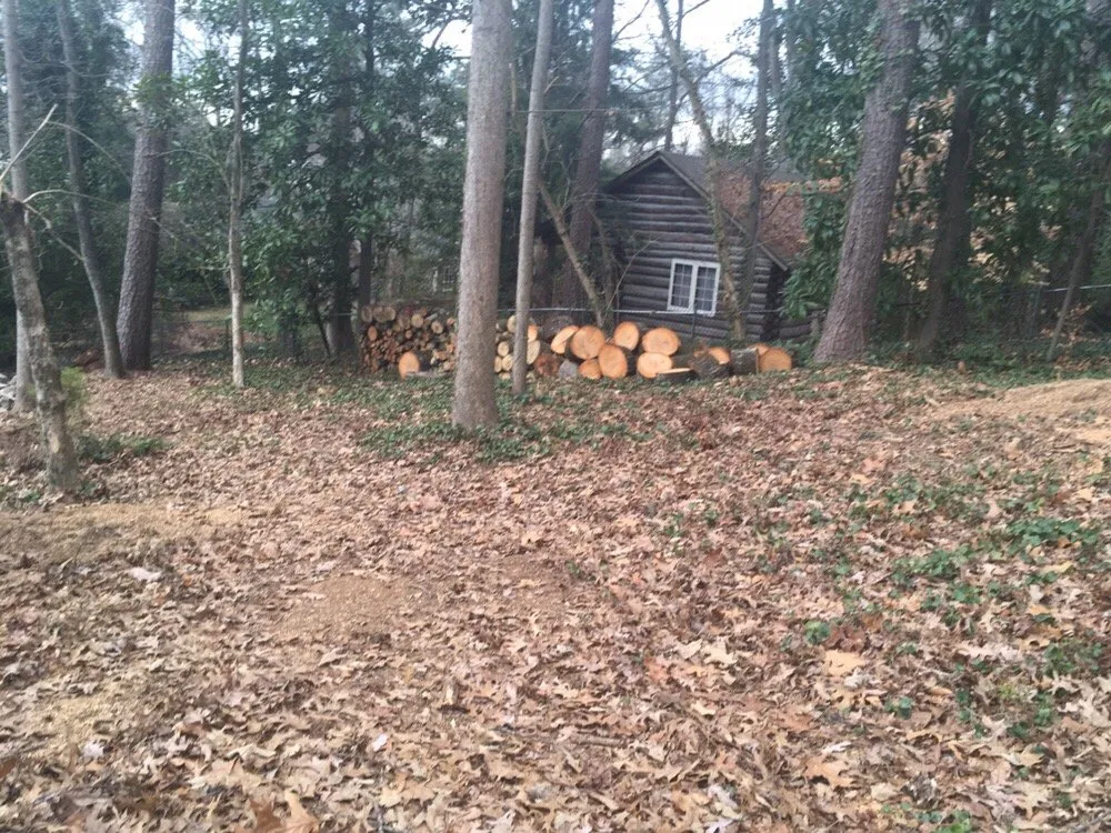 Expert garden landscaping for beautiful yards in Atlanta, GA by Vida Landscape