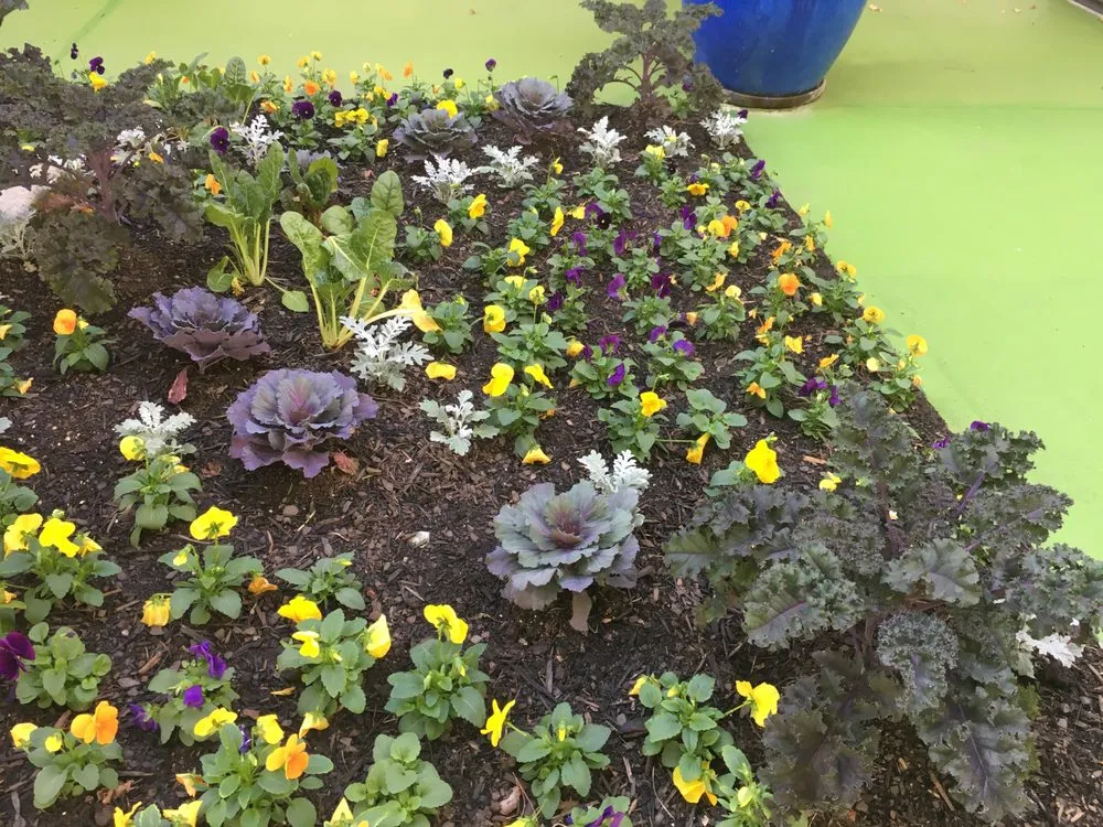 Professional landscape design for year-round maintenance in Atlanta, GA by Vida Landscape