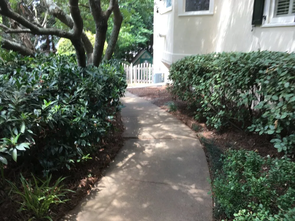 Affordable residential landscaping in Atlanta, GA by Vida Landscape