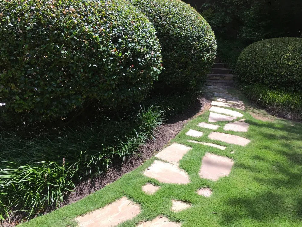 Local lawn mowing service experts serving Atlanta, GA - Vida Landscape