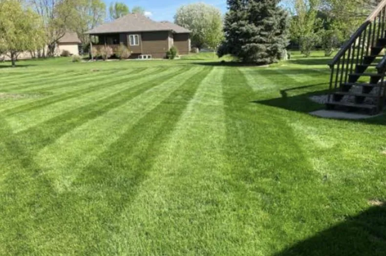 Top-rated lawn mowing service for beautiful yards across Biloxi, MS - Vida Lawn Care