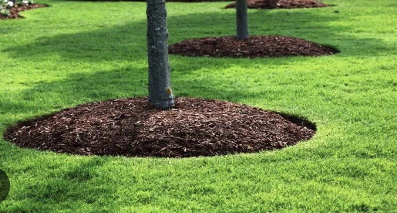 Affordable lawn mowing service with custom design in Biloxi, MS by Vida Lawn Care