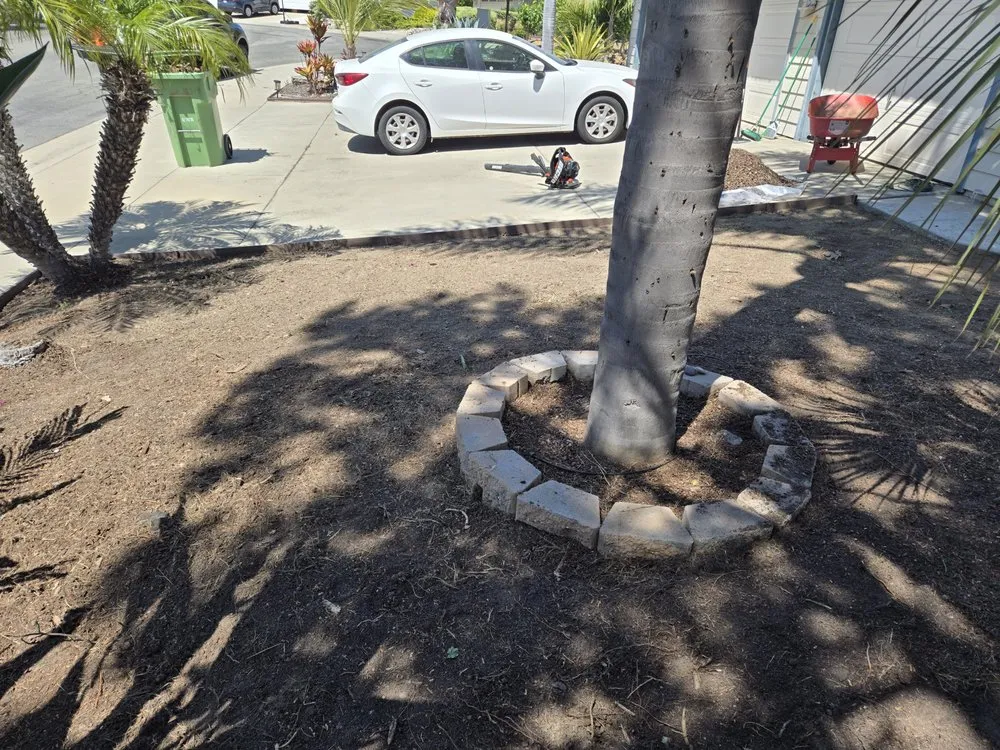 Custom lawn mowing service in Fallbrook, CA by Vidal Landscaping