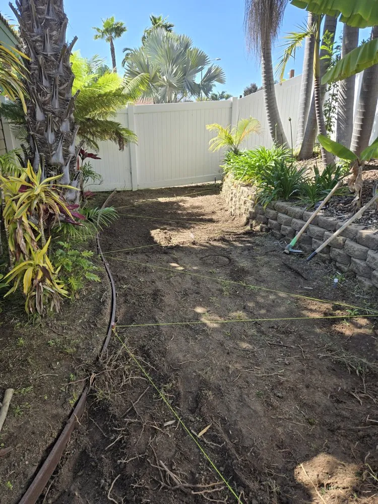 Professional lawn mowing service experts serving Fallbrook, CA - Vidal Landscaping