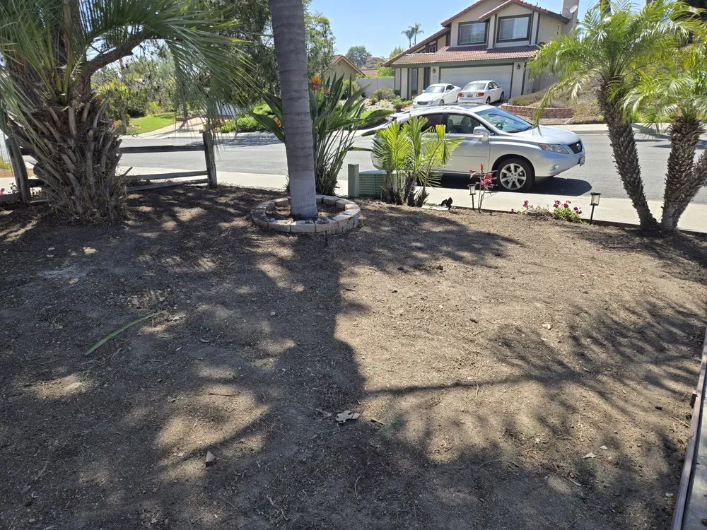 Reliable yard maintenance experts serving Fallbrook, CA - Vidal Landscaping