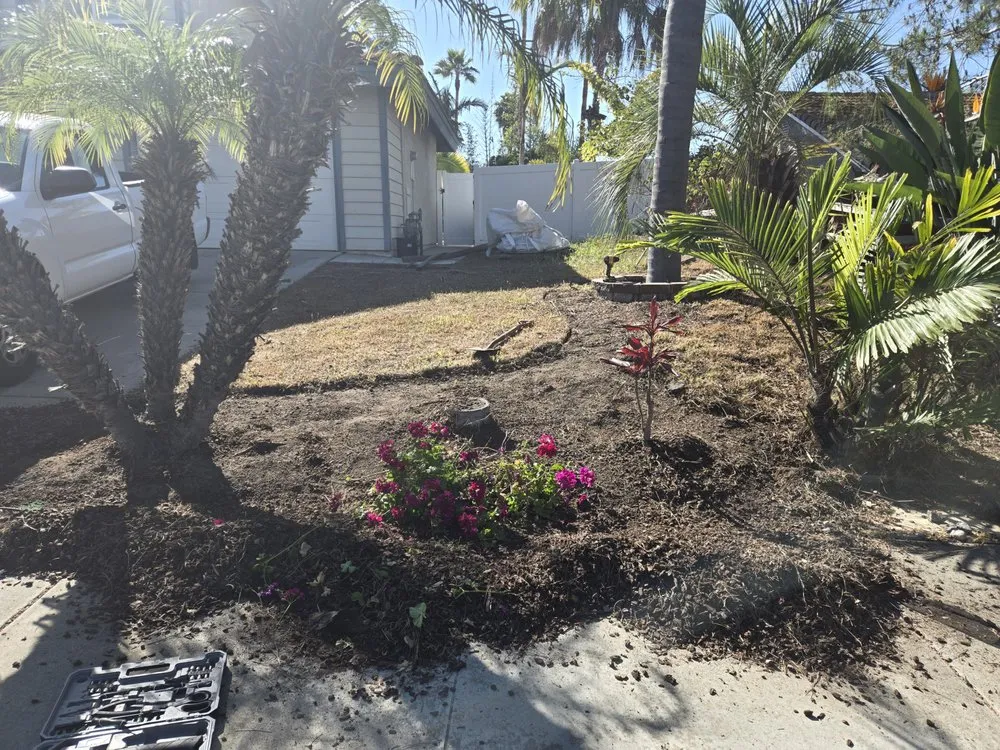 Custom lawn care service for residential properties across Fallbrook, CA - Vidal Landscaping