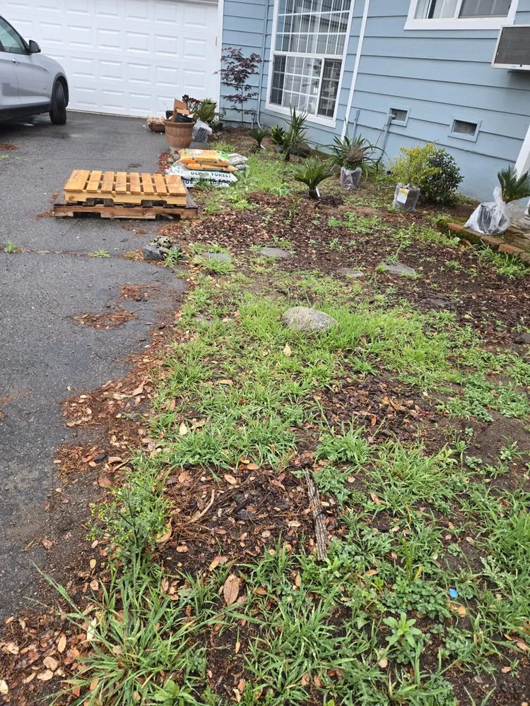 Custom landscape installation experts serving Fallbrook, CA - Vidal Landscaping