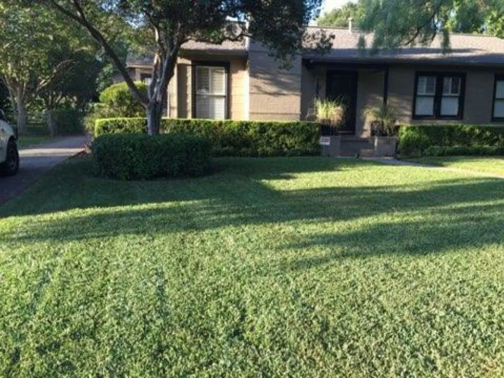 Top-rated landscaping services for homes across San Antonio, TX - Vidal Landscaping