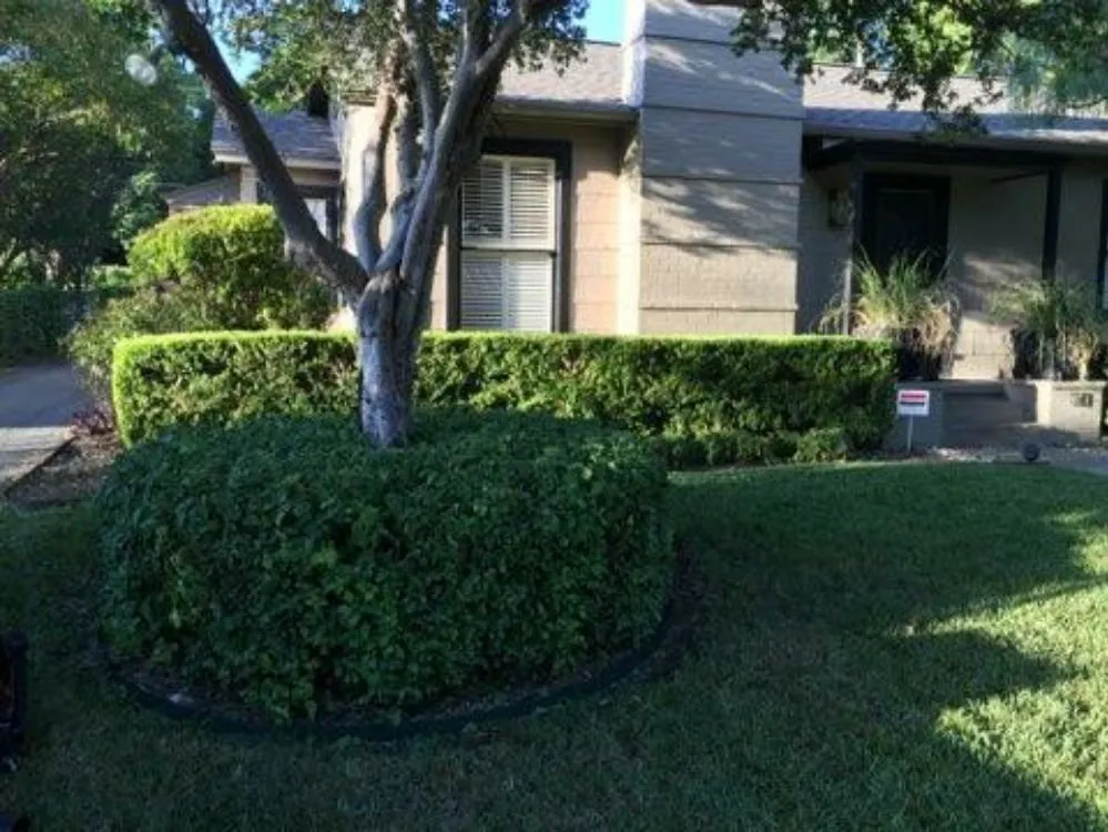 Trusted lawn mowing service for residential properties across San Antonio, TX - Vidal Landscaping