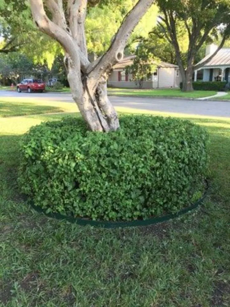 Custom lawn mowing service in San Antonio, TX - Vidal Landscaping