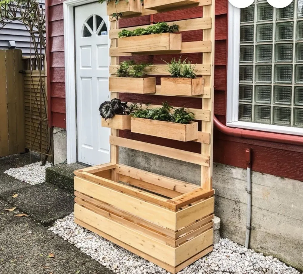 Trusted yard cleanup service in El Paso, TX by Vidalez Construction & Landscaping