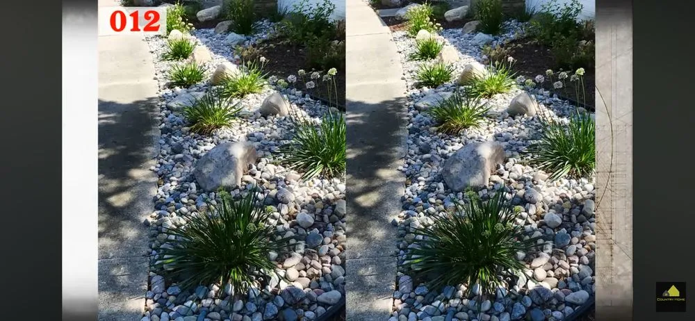 Affordable yard cleanup service in El Paso, TX by Vidalez Construction & Landscaping