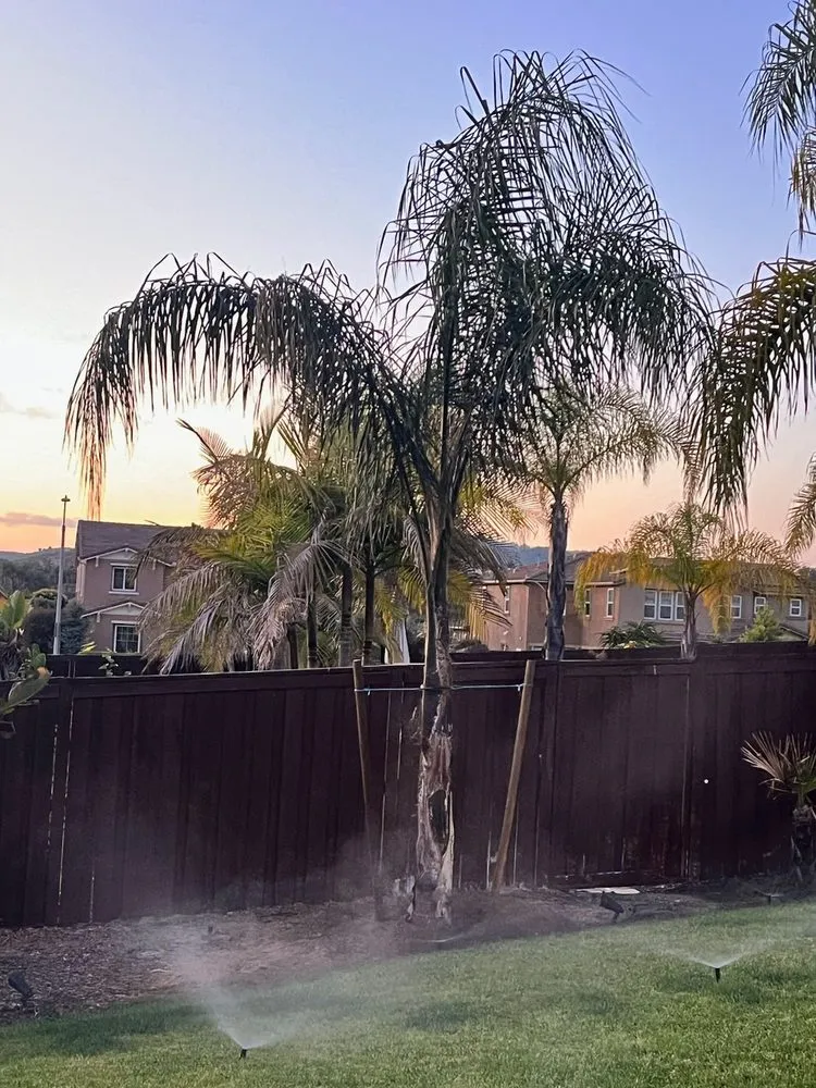 Local garden landscaping in El Monte, CA by Vidal's Gardening & Landscaping