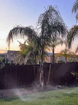 Vidal's Gardening & Landscaping