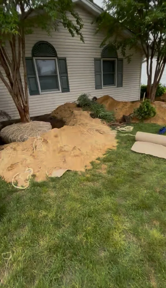 Professional yard cleanup service in Centereach, NY by Vidal’s Irrigation & Landscaping