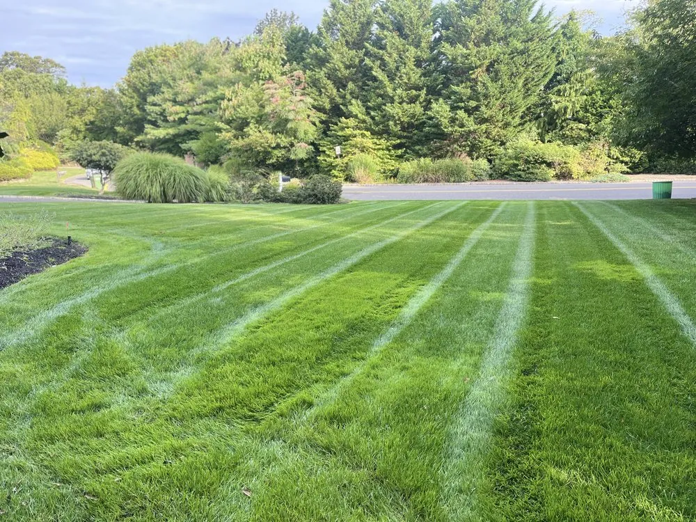 Trusted lawn care service in Centereach, NY by Vidal’s Irrigation & Landscaping