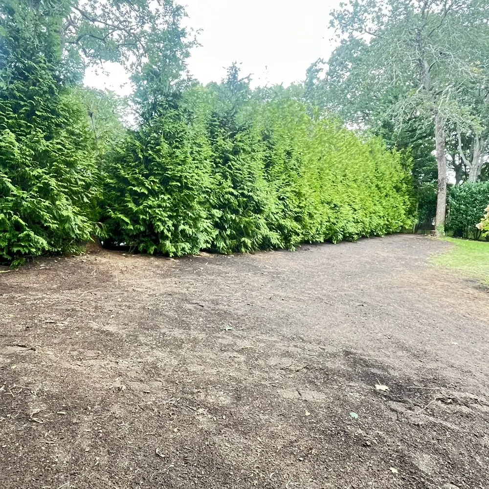 Trusted landscape design for beautiful yards in Centereach, NY by Vidal’s Irrigation & Landscaping