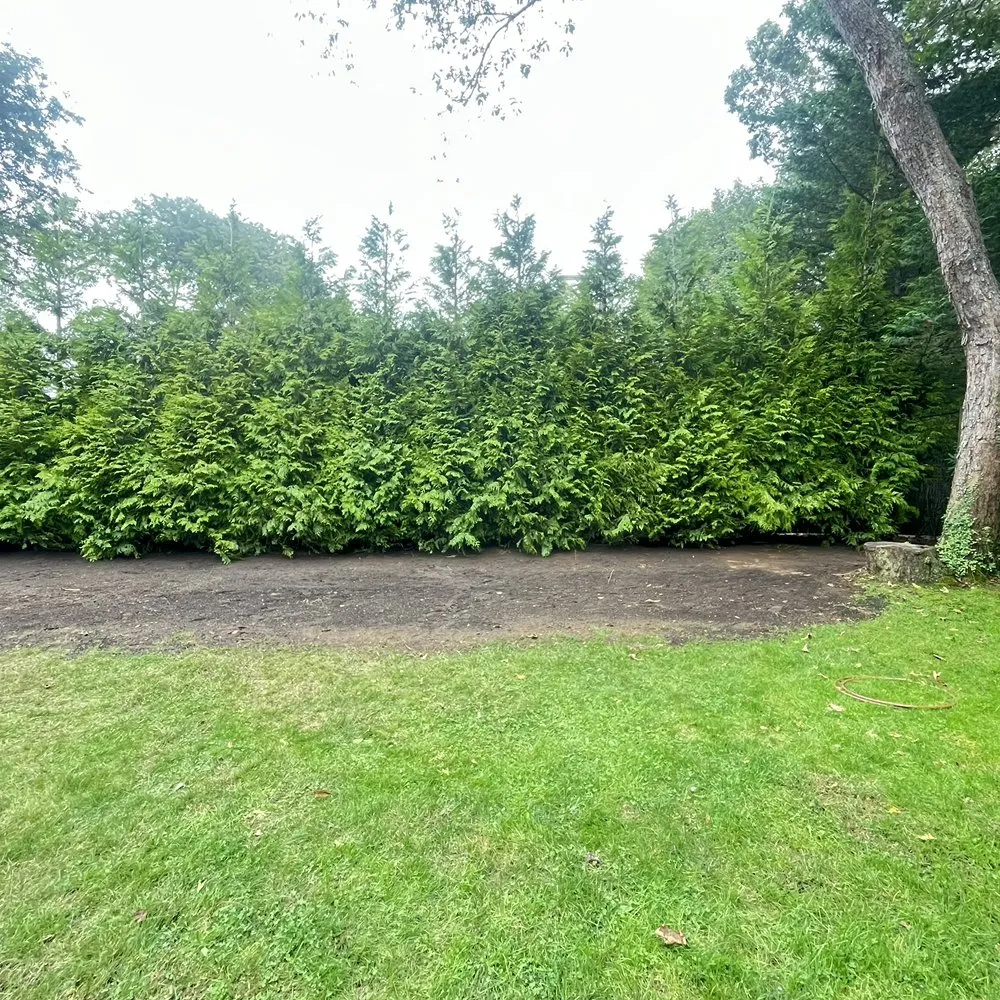 Expert yard cleanup service for homes in Centereach, NY by Vidal’s Irrigation & Landscaping