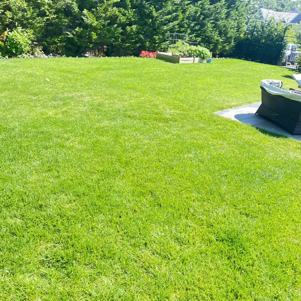 Top-rated landscape installation in Centereach, NY - Vidal’s Irrigation & Landscaping