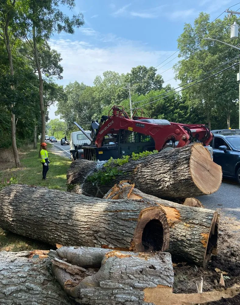 Reliable landscape design for year-round maintenance across Centereach, NY - Vidal’s Irrigation & Landscaping