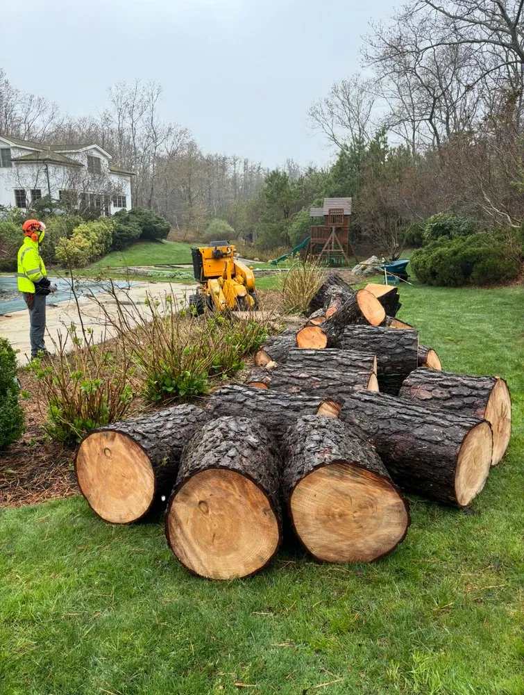 Reliable landscape installation for year-round maintenance across Centereach, NY - Vidal’s Irrigation & Landscaping