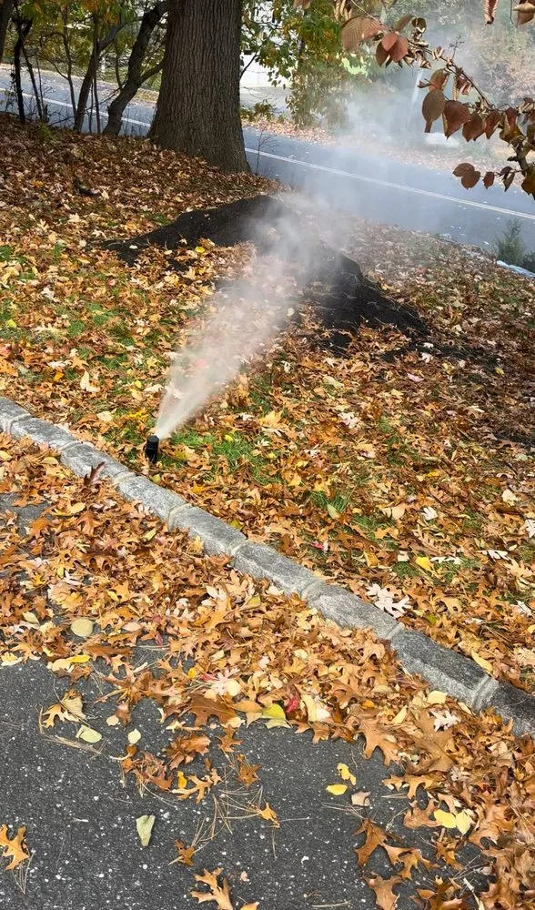 Local landscaping services near you across Centereach, NY - Vidal’s Irrigation & Landscaping