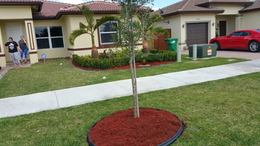 Professional yard cleanup service experts serving Homestead, FL - Vidal's Lawn Service