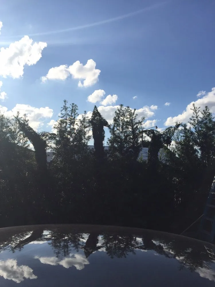 Local garden landscaping for outdoor upgrades in Homestead, FL by Vidal's Lawn Service