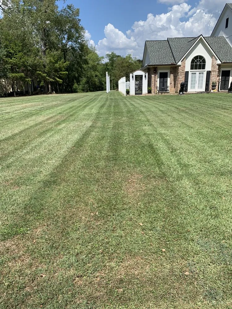 Top-rated outdoor landscaping for year-round maintenance across Denham springs, LA - Vidrine’s Tru Green Lawn Care