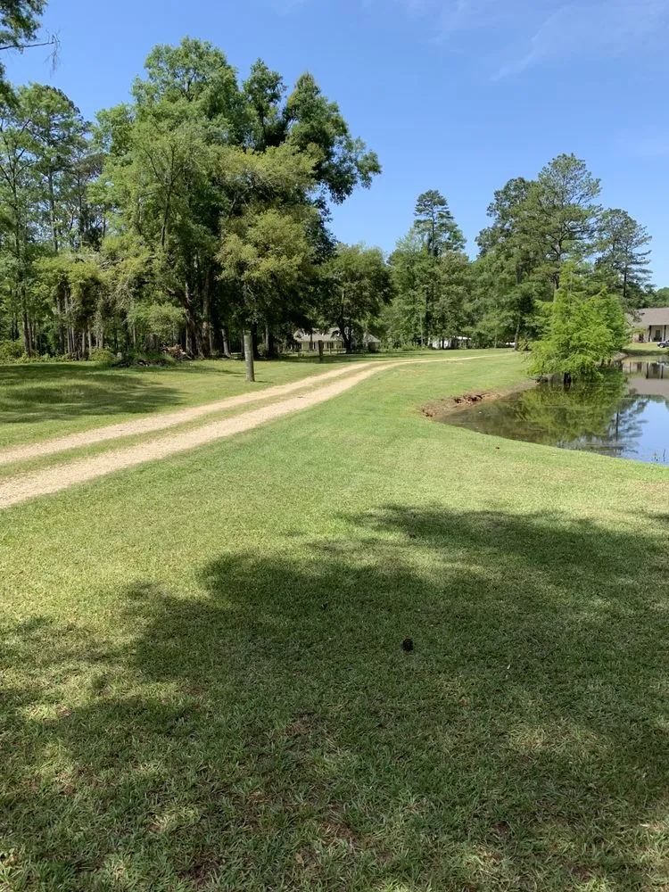 Custom yard cleanup service in Denham springs, LA by Vidrine’s Tru Green Lawn Care