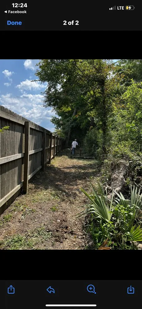 Professional yard cleanup service experts serving Denham springs, LA - Vidrine’s Tru Green Lawn Care