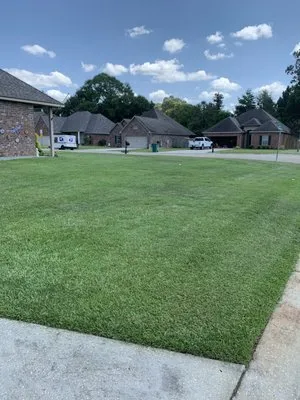 Vidrine’s Tru Green Lawn Care Logo