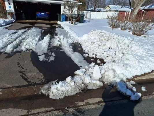 Viens Lawn & Snow Service Logo