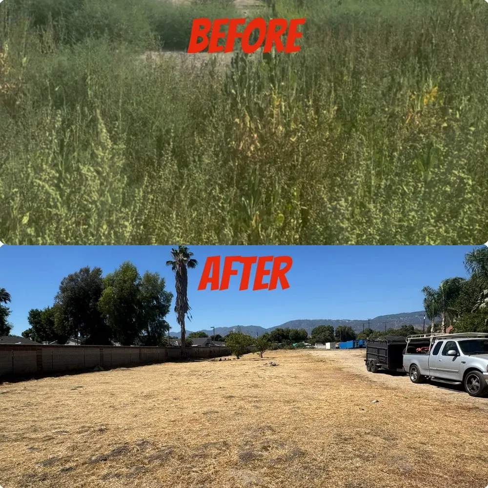 Reliable garden landscaping experts serving San Jacinto, CA - Viera Way