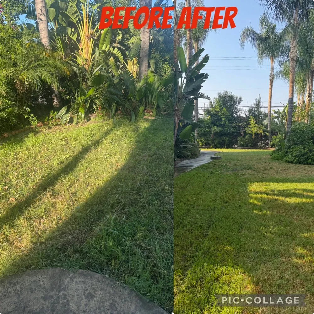 Expert yard maintenance for residential properties in San Jacinto, CA by Viera Way