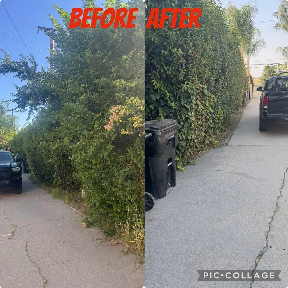 Reliable landscape installation for year-round maintenance in San Jacinto, CA by Viera Way