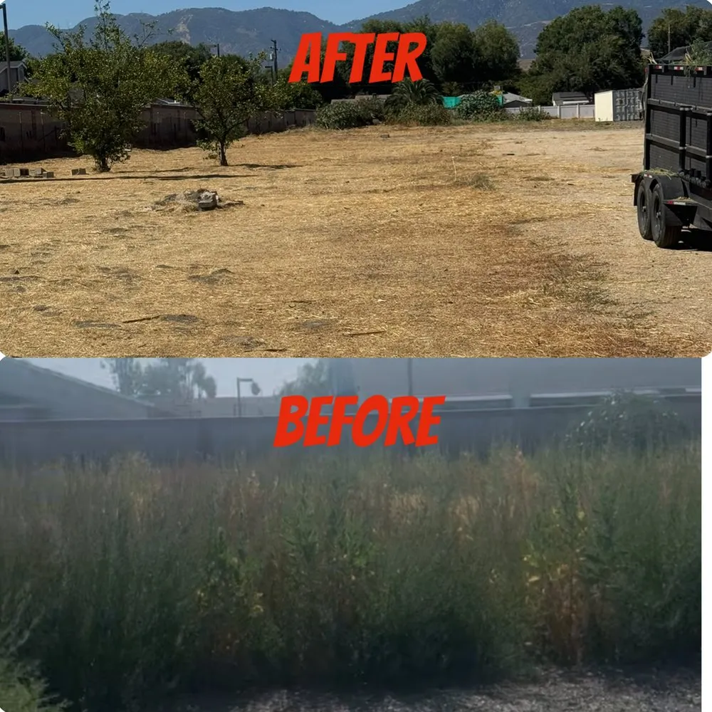 Expert yard maintenance near you in San Jacinto, CA by Viera Way