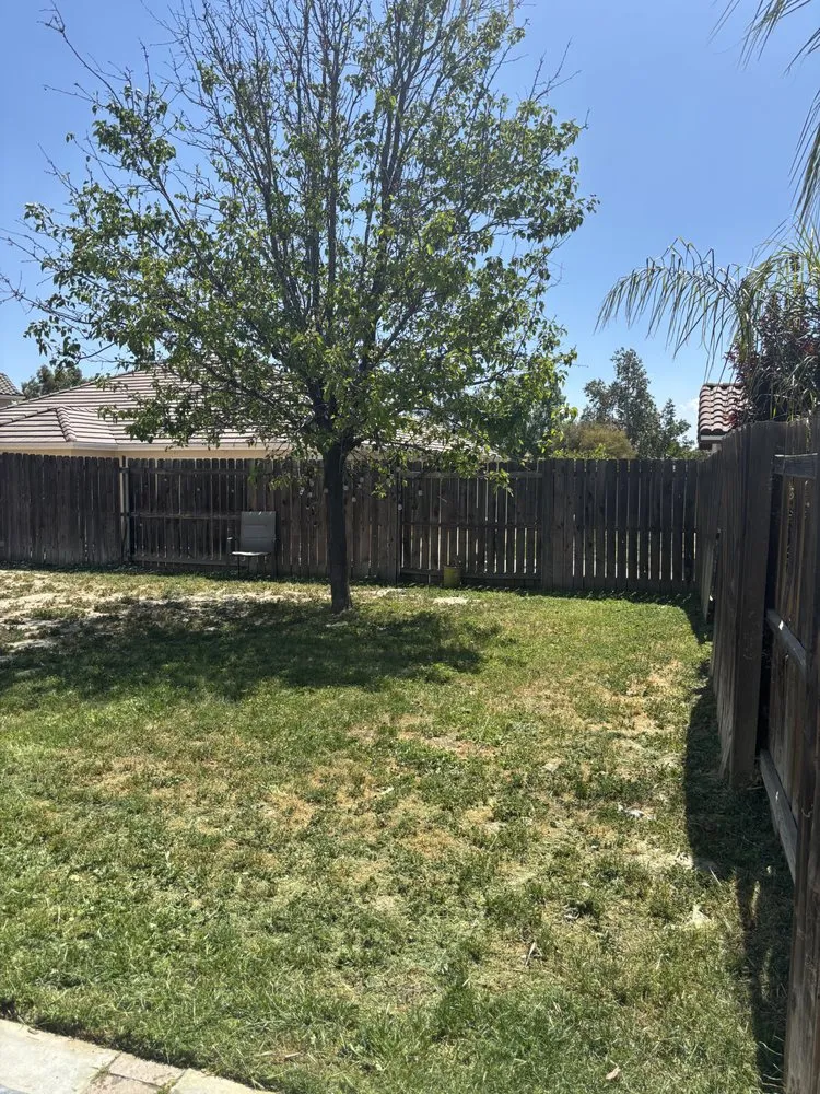 Professional landscape design near you in San Jacinto, CA by Viera Way