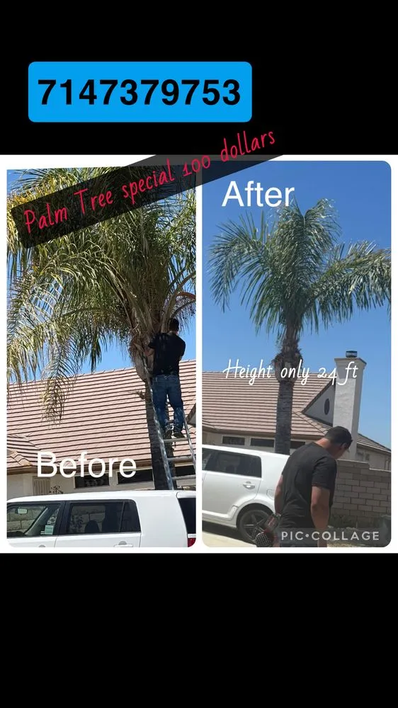 Custom landscape design for outdoor upgrades in San Jacinto, CA by Viera Way