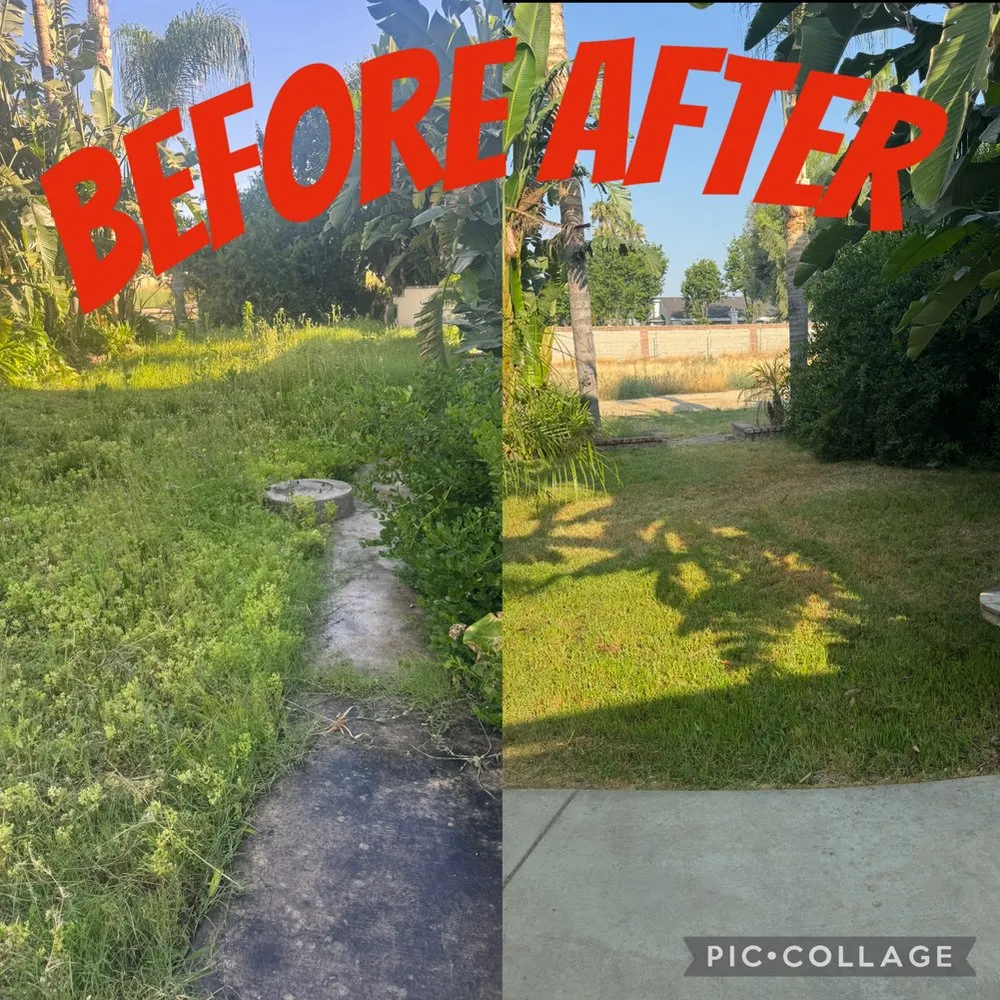 Reliable garden landscaping in San Jacinto, CA by Viera Way