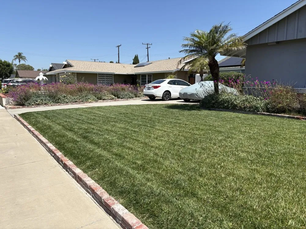 Reliable lawn mowing service for homes in San Jacinto, CA by Viera Way