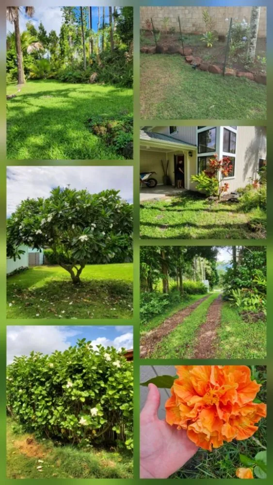 Professional landscape design for homes across Pāhoa, HI - Vierra Gardening Maintenance