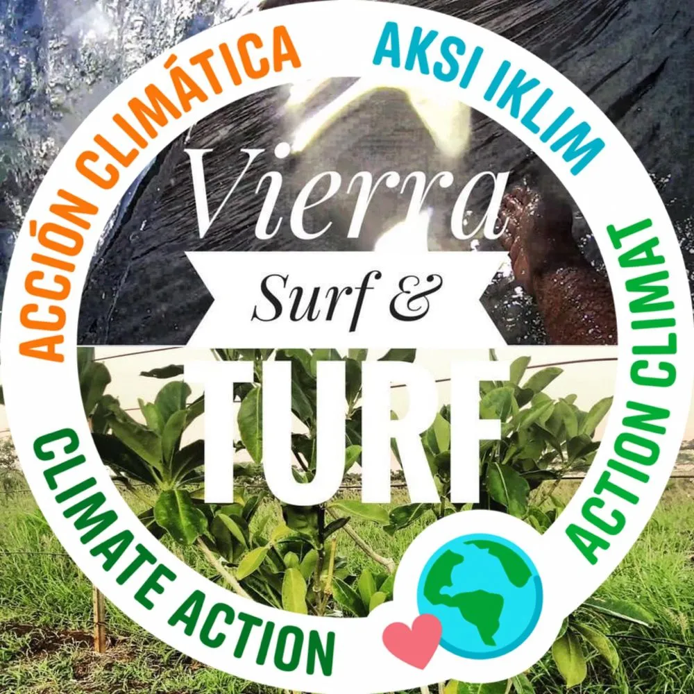 Top-rated landscaping services for outdoor upgrades in Waianae, HI by Vierra Landscaping & Nursery