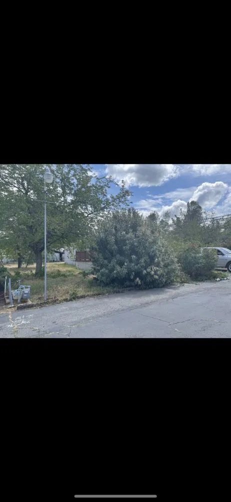 Trusted lawn care service near you across Red Bluff, CA - Vierras Handyman Services