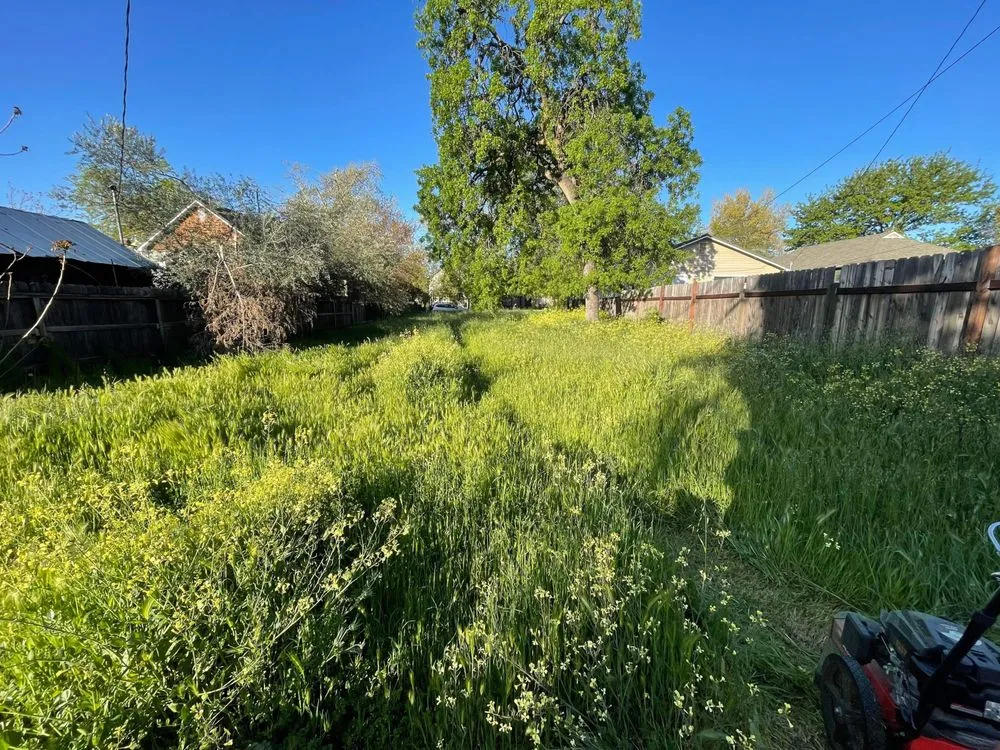 Custom landscape design for beautiful yards across Red Bluff, CA - Vierras Handyman Services