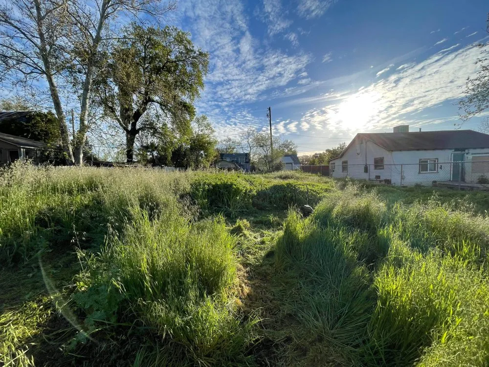 Professional yard maintenance in Red Bluff, CA by Vierras Handyman Services