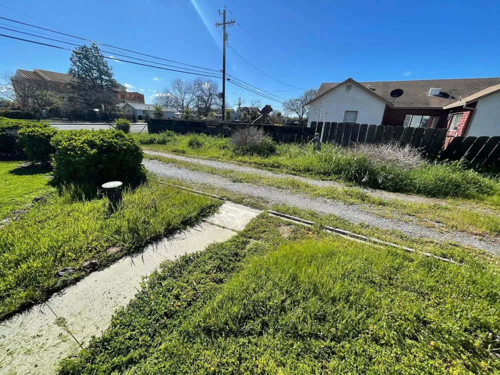 Expert yard cleanup service in Red Bluff, CA by Vierras Handyman Services